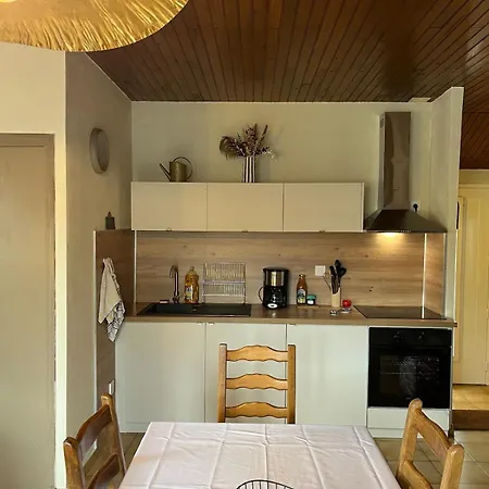 Maison - 2 Chambres, Balcon Et Garage Apartmán La Salvetat-sur-Agout