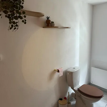Maison - 2 Chambres, Balcon Et Garage Apartmán La Salvetat-sur-Agout